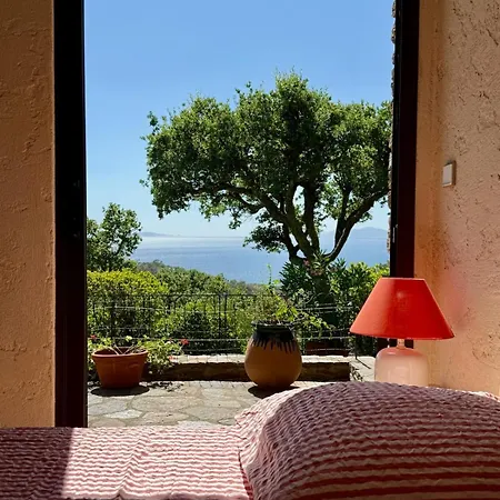 House In Bormes-les-mimosas, Cap Benat *